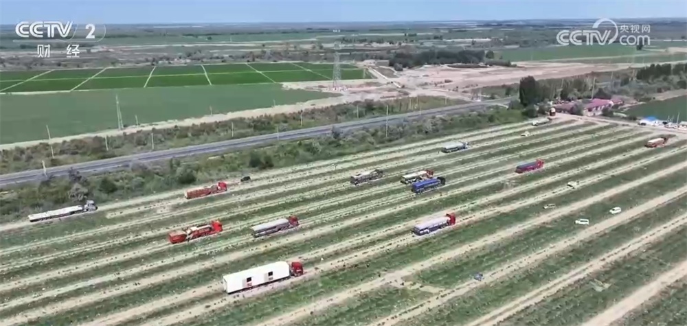 新疆昌吉超万亩西瓜绘就夏日好“丰”光 市场供销两旺