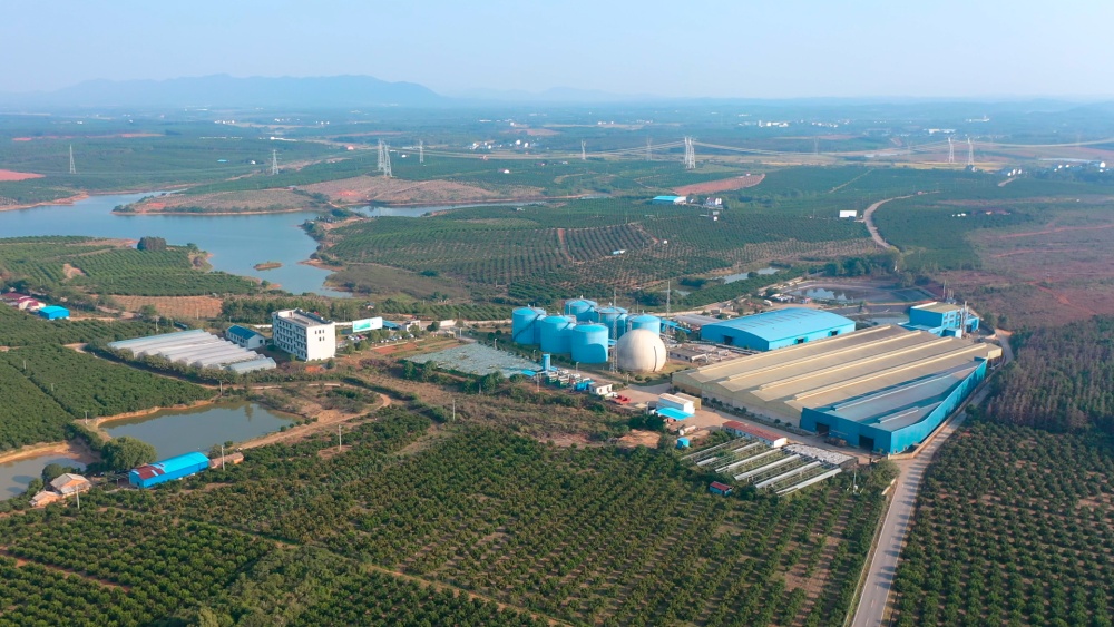 活力中国调研行|“赣”出美丽!这里的乡村景美民富 活力中国调研行|“赣”出美丽!这里的乡村景美民富