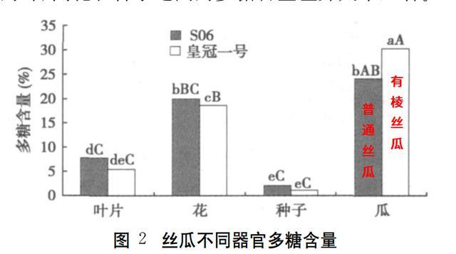 这种蔬菜嫩了能吃、老了能用,热量低还超补水!但这种情况下千万别吃 这种蔬菜嫩了能吃、老了能用,热量低还超补水!但这种情况下千万别吃