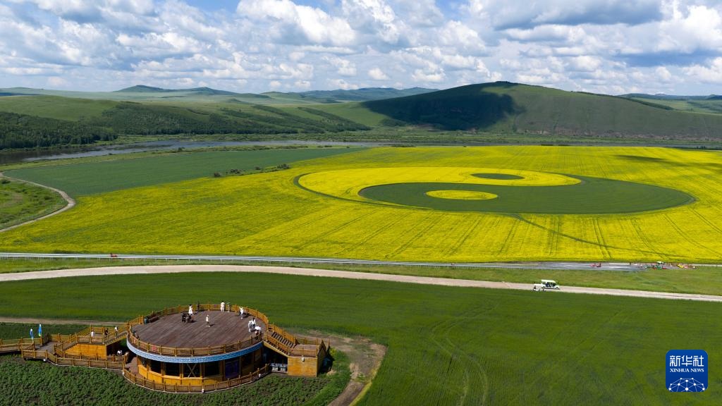 美丽中国丨内蒙古额尔古纳:油菜花海醉游人 美丽中国丨内蒙古额尔古纳:油菜花海醉游人