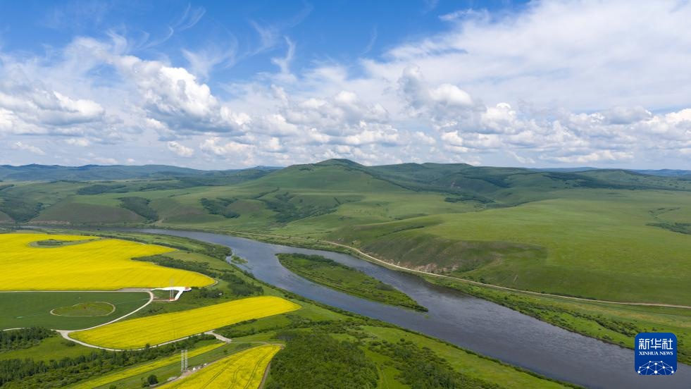 美丽中国丨内蒙古额尔古纳:油菜花海醉游人 美丽中国丨内蒙古额尔古纳:油菜花海醉游人