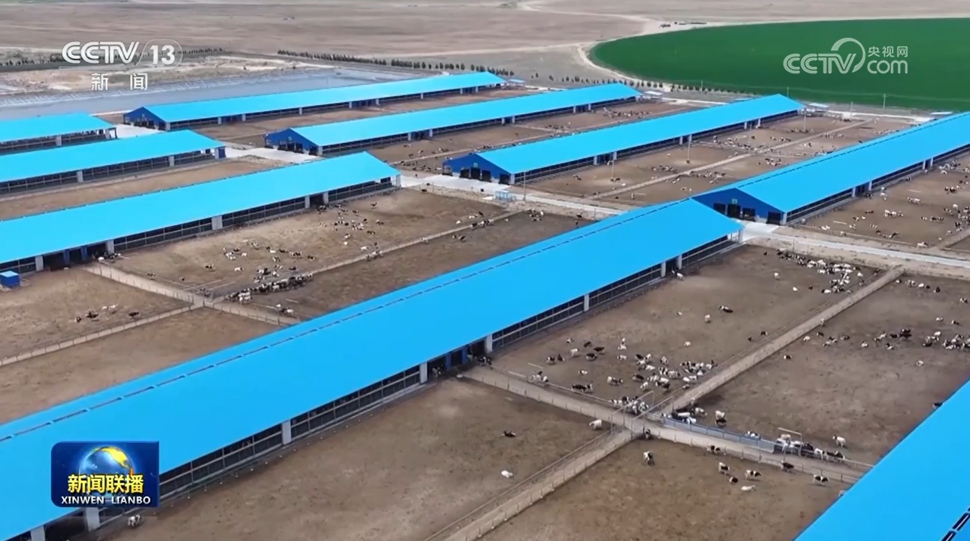 “十四五”期间我国退化草原年均缩减5000万亩 “十四五”期间我国退化草原年均缩减5000万亩