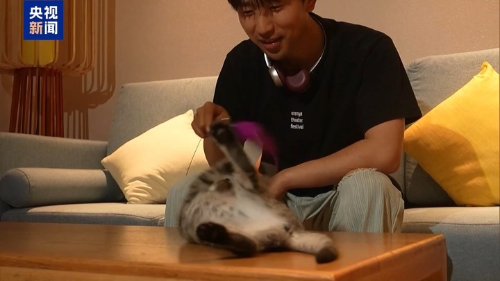 暑运宠物出行服务升级 还有“毛孩子”专属特色游上新