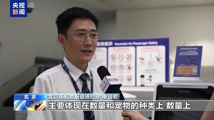 暑运宠物出行服务升级 还有“毛孩子”专属特色游上新