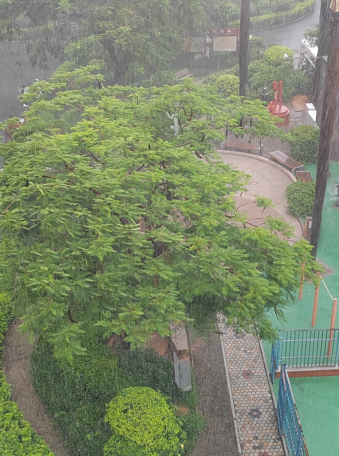 紧急预警！短时强降水又来了！厦门这些地方注意！