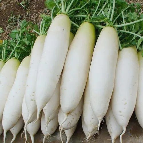 5种家常菜堪比“人参”！推荐这样吃