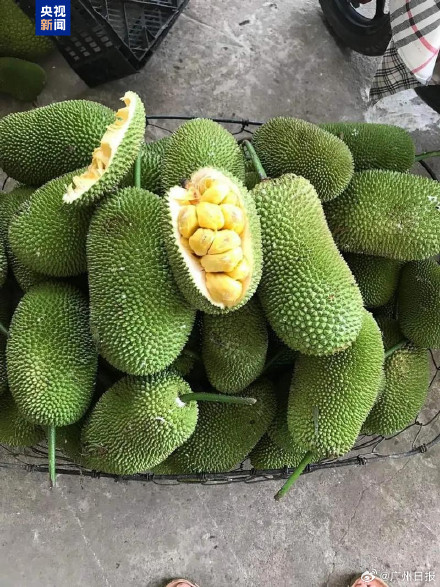 榴莲蜜和榴莲没关系，这个甜度爆表的小众水果你吃过吗？