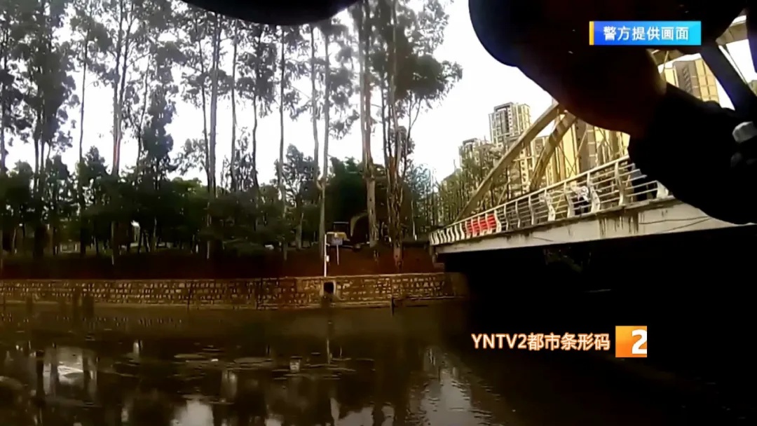 市民在盘龙江里发现“娃娃鱼”？经确认却是……