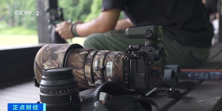 “观鸟”“拍鸟”受青睐 热门摄影器材销量攀升 “观鸟”“拍鸟”受青睐 热门摄影器材销量攀升