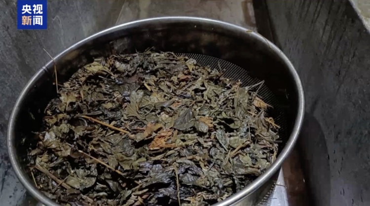 桑拿天回归、暴晒热袭来!慎防“热射病” 桑拿天回归、暴晒热袭来!慎防“热射病”