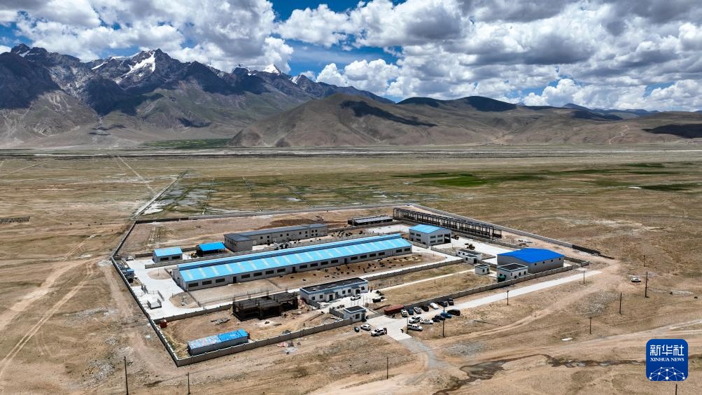 我国科学家成功克隆牦牛