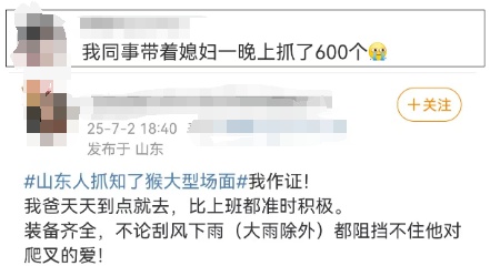 需求量激增!有人一天净赚2000元?近期大量出现,不少人夜晚出动 需求量激增!有人一天净赚2000元?近期大量出现,不少人夜晚出动