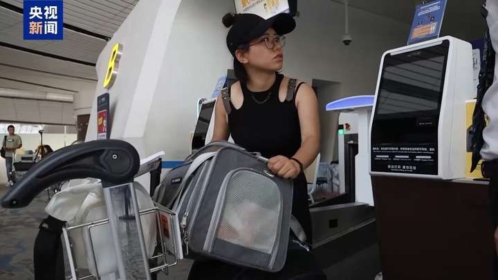 暑运宠物出行服务升级 还有“毛孩子”专属特色游上新