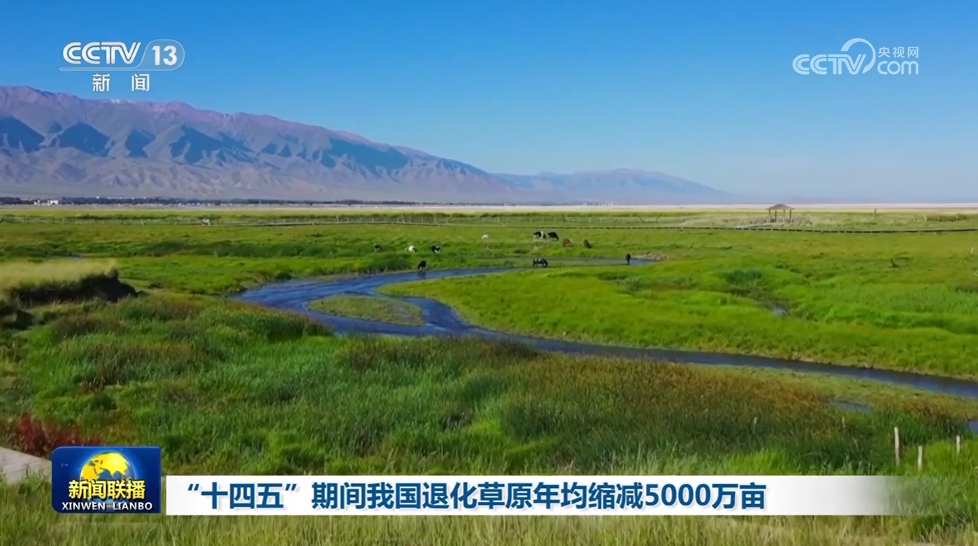 “十四五”期间我国退化草原年均缩减5000万亩 “十四五”期间我国退化草原年均缩减5000万亩