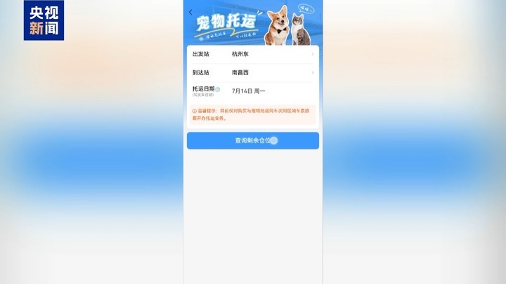 暑运宠物出行服务升级 还有“毛孩子”专属特色游上新