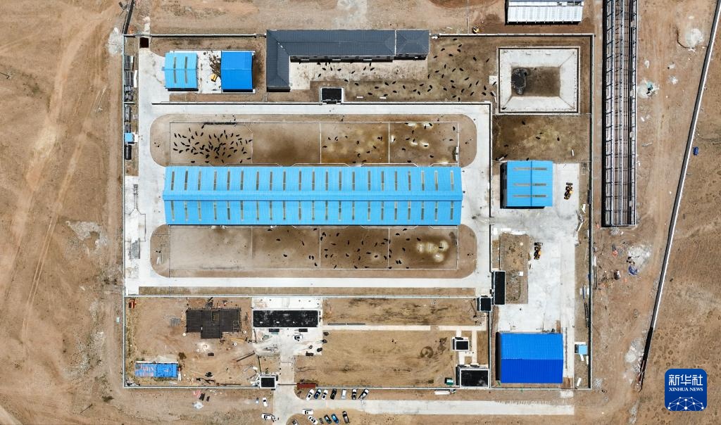 我国科学家成功克隆牦牛