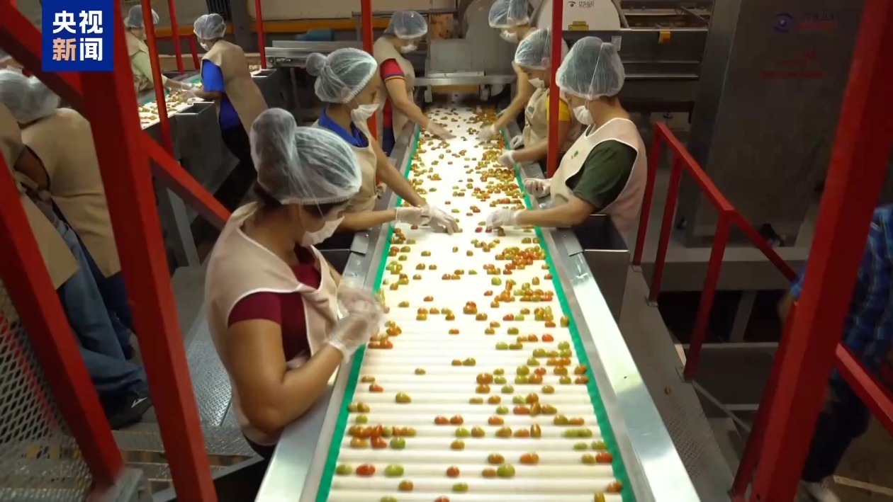 美墨“番茄协议”将到期 美经销商：关税将导致番茄涨价