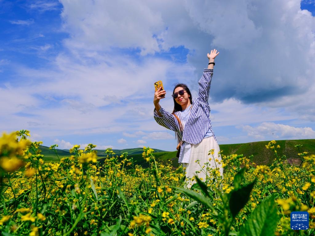 美丽中国丨内蒙古额尔古纳:油菜花海醉游人 美丽中国丨内蒙古额尔古纳:油菜花海醉游人