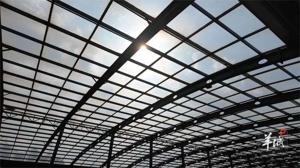 实测近50℃！骑行过广州洛溪大桥，为何像进了“烤箱”？