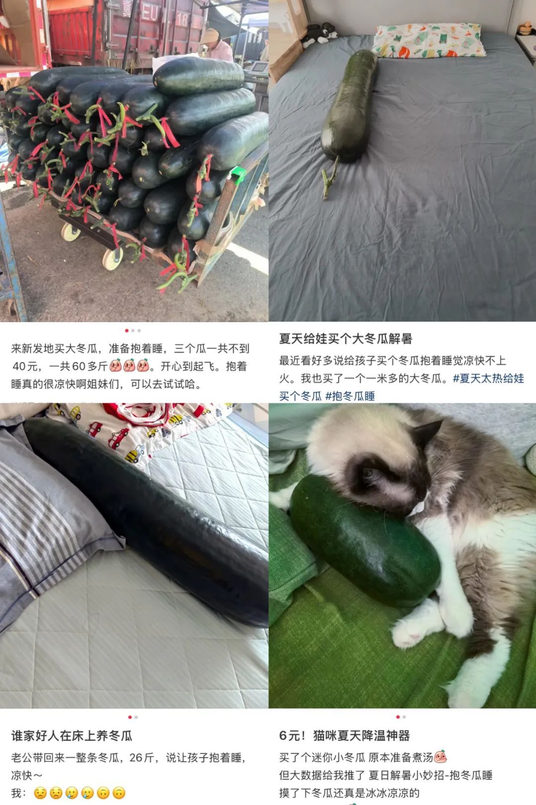 “抱冬瓜睡觉”突然走红！医生紧急提醒