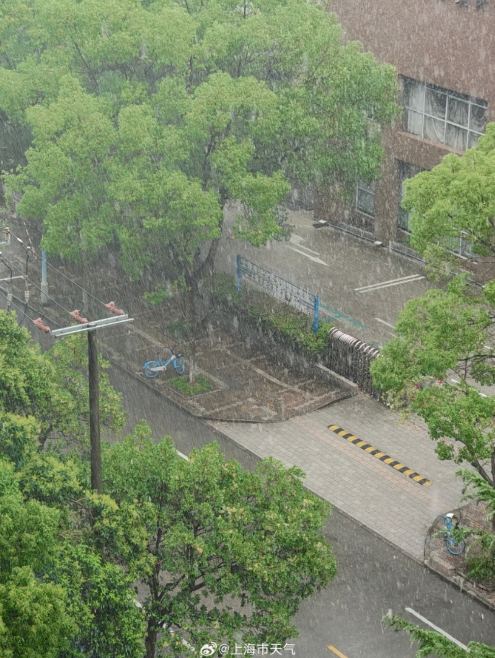 将明显影响上海！预警突发，暴雨+大风，热带扰动正在加强，下周天气大转折