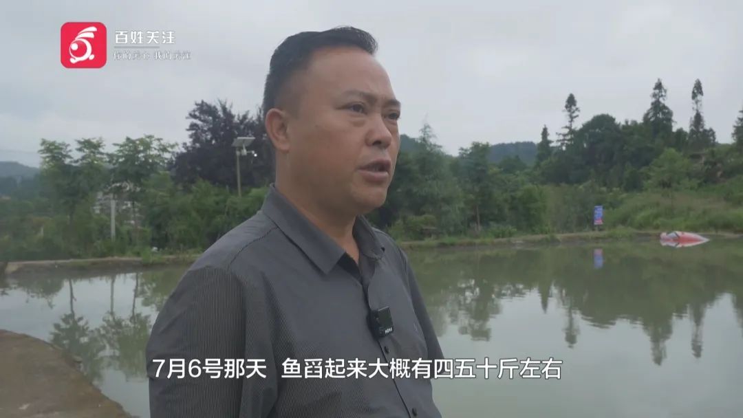 贵阳一男子连人带车冲进鱼塘!塘主:鱼死了不少,车主:我当时正在…… 贵阳一男子连人带车冲进鱼塘!塘主:鱼死了不少,车主:我当时正在……