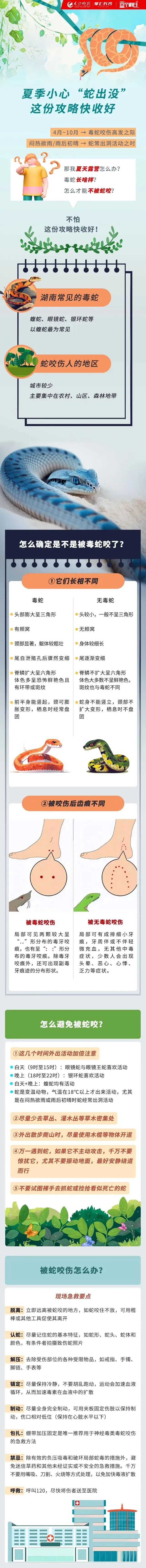 头皮发麻!居民家惊现眼镜蛇,长约2米! 头皮发麻!居民家惊现眼镜蛇,长约2米!