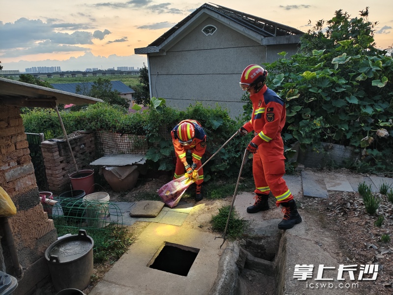 头皮发麻!居民家惊现眼镜蛇,长约2米! 头皮发麻!居民家惊现眼镜蛇,长约2米!