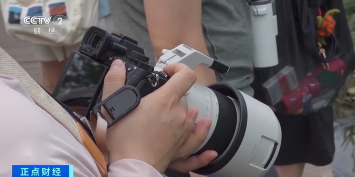 “观鸟”“拍鸟”受青睐 热门摄影器材销量攀升 “观鸟”“拍鸟”受青睐 热门摄影器材销量攀升