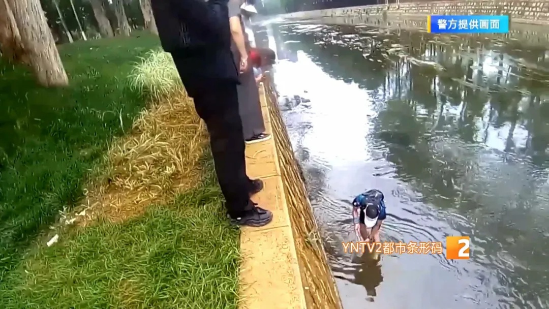 市民在盘龙江里发现“娃娃鱼”？经确认却是……