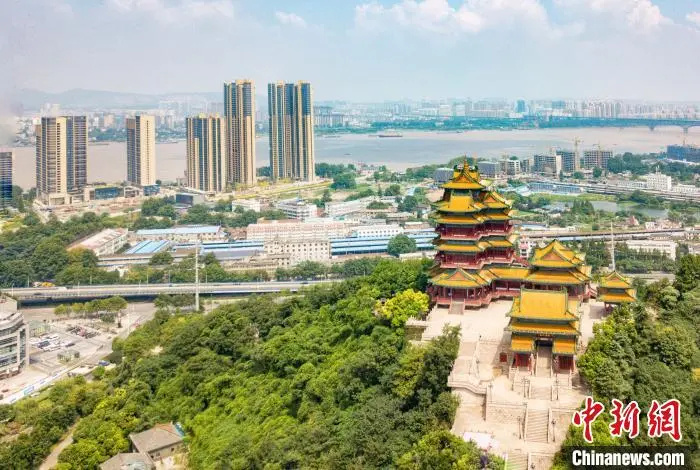 620年前,郑和船队带回了什么? 620年前,郑和船队带回了什么?