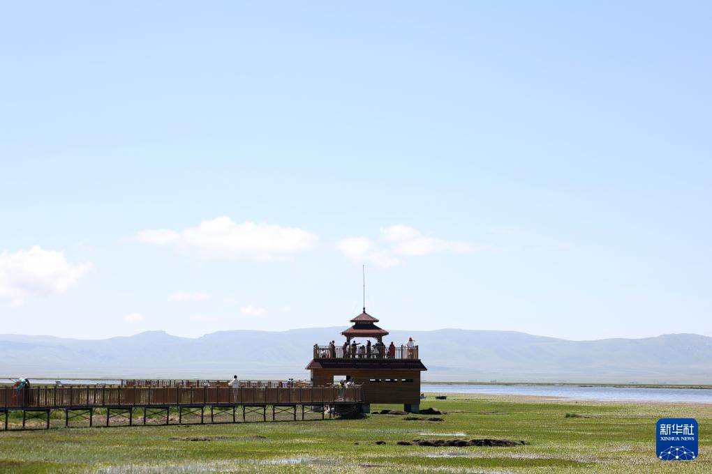 高原湿地 人鸥同乐