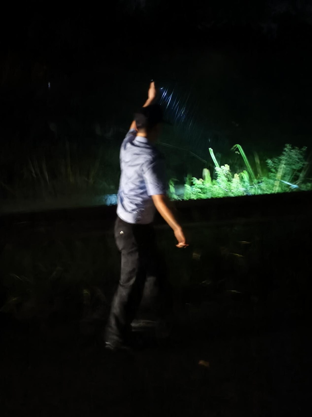 暴雨烈日73小时 警民联动寻回走失老人