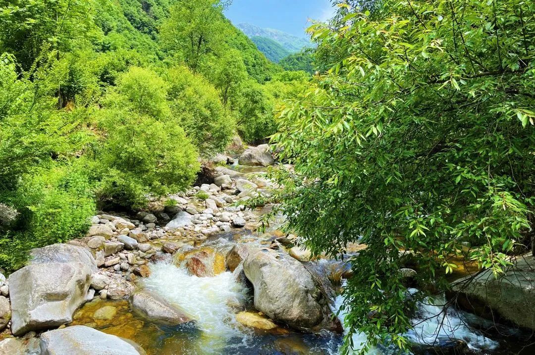 西安继续高温预警，陕西发布风险提示！立减10℃，这里有避暑秘境推荐→
