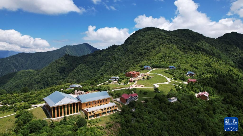 甘肃舟曲:“簪花之路”风景廊道激活文旅新动能 甘肃舟曲:“簪花之路”风景廊道激活文旅新动能