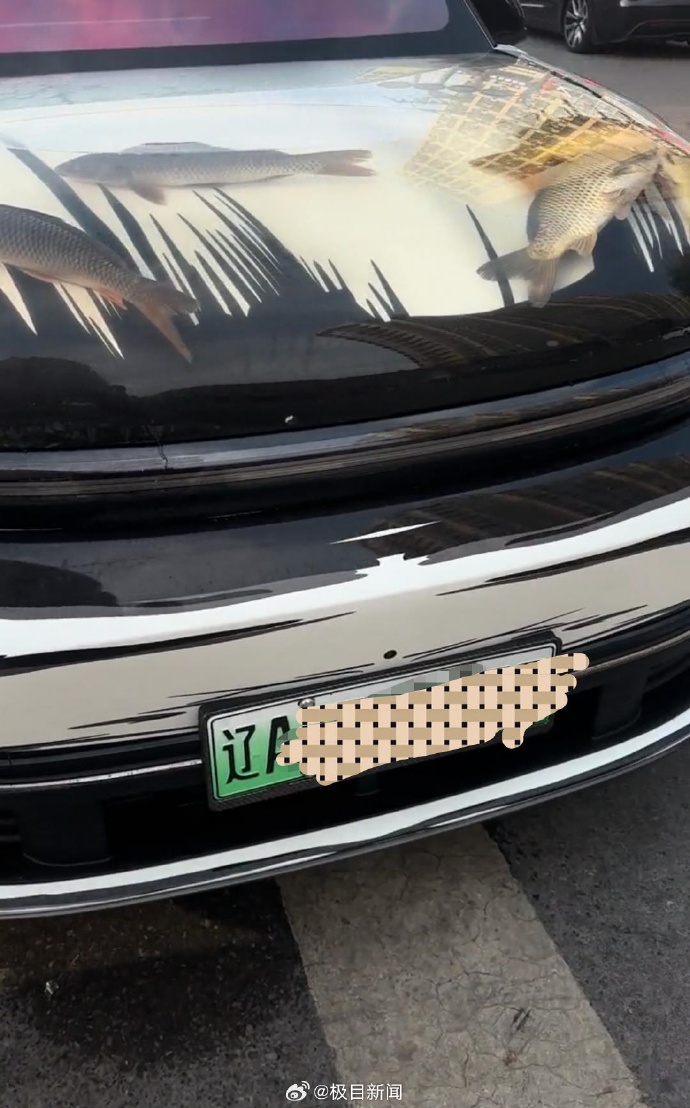 男子在机动车引擎盖贴车衣养鱼,交警称属非法改装,本人回应 男子在机动车引擎盖贴车衣养鱼,交警称属非法改装,本人回应