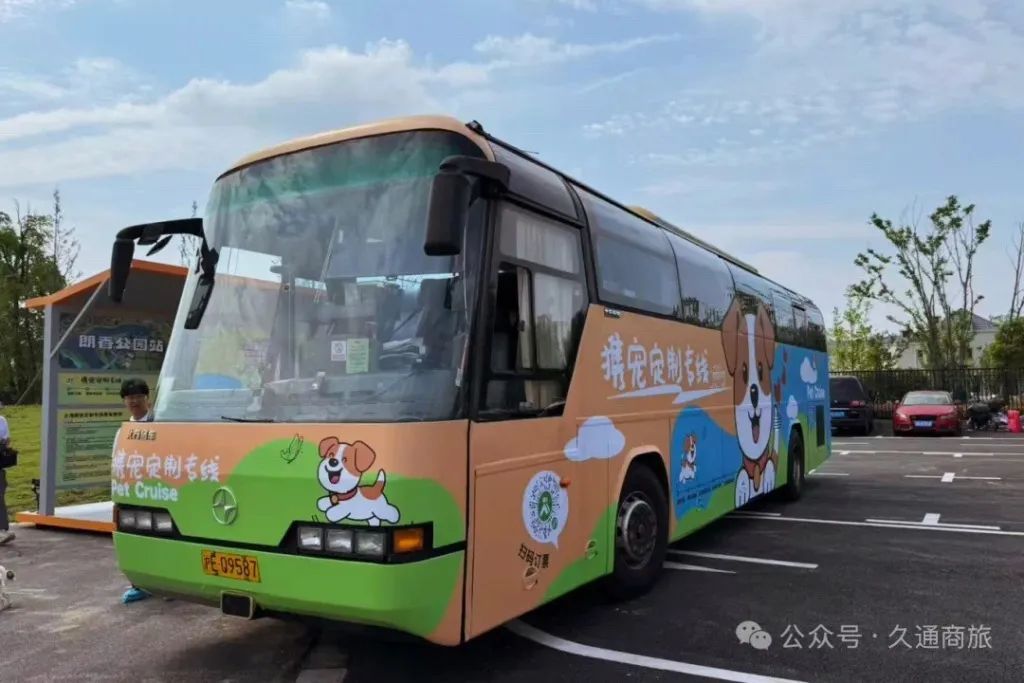 “毛孩子”也能乘公交了！上海首条宠物公交专线开通50天