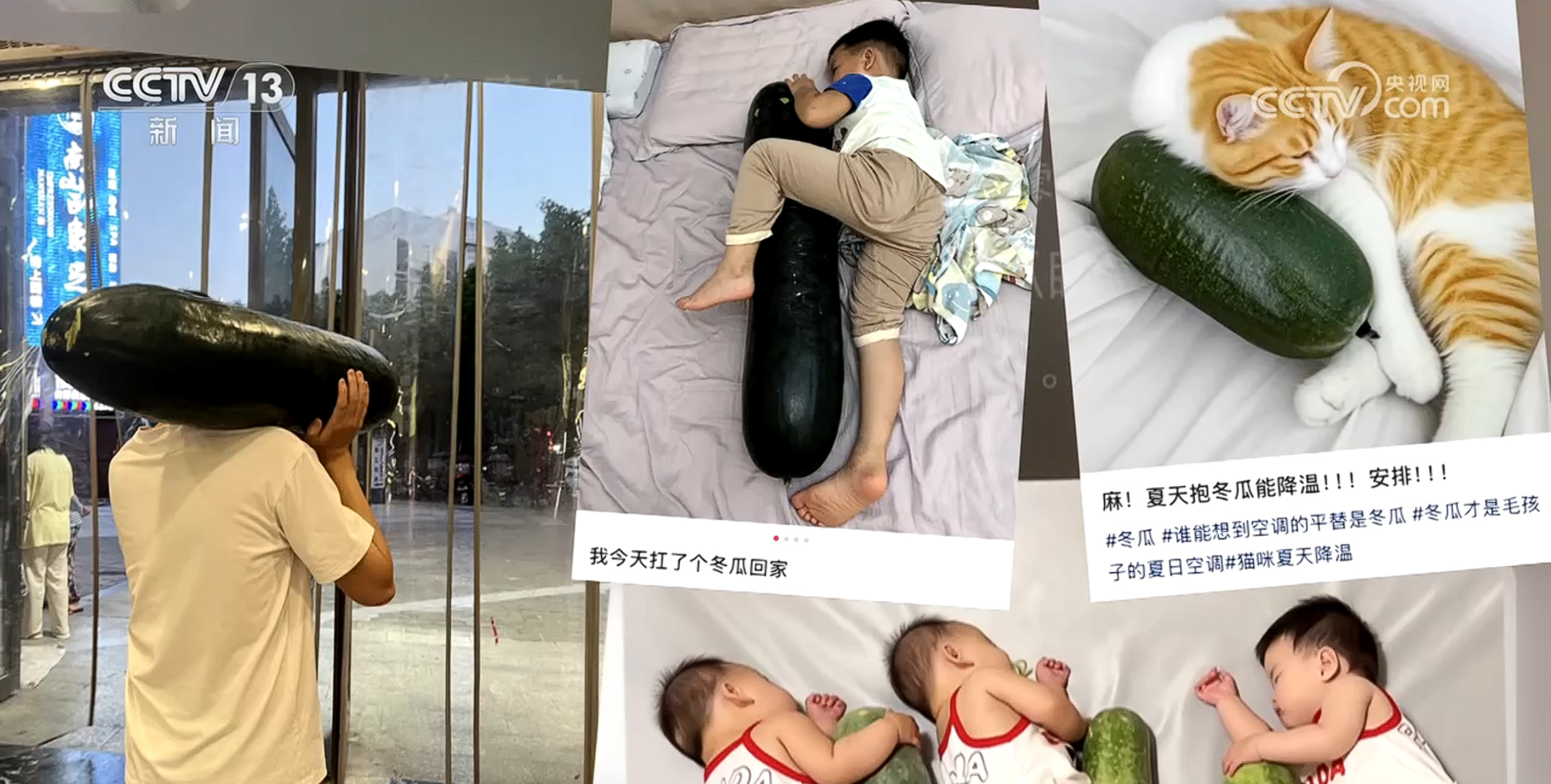 “冬瓜搭子”“集中供冷” 高温“烤”验 越来越热的夏天该如何应对? “冬瓜搭子”“集中供冷” 高温“烤”验 越来越热的夏天该如何应对?