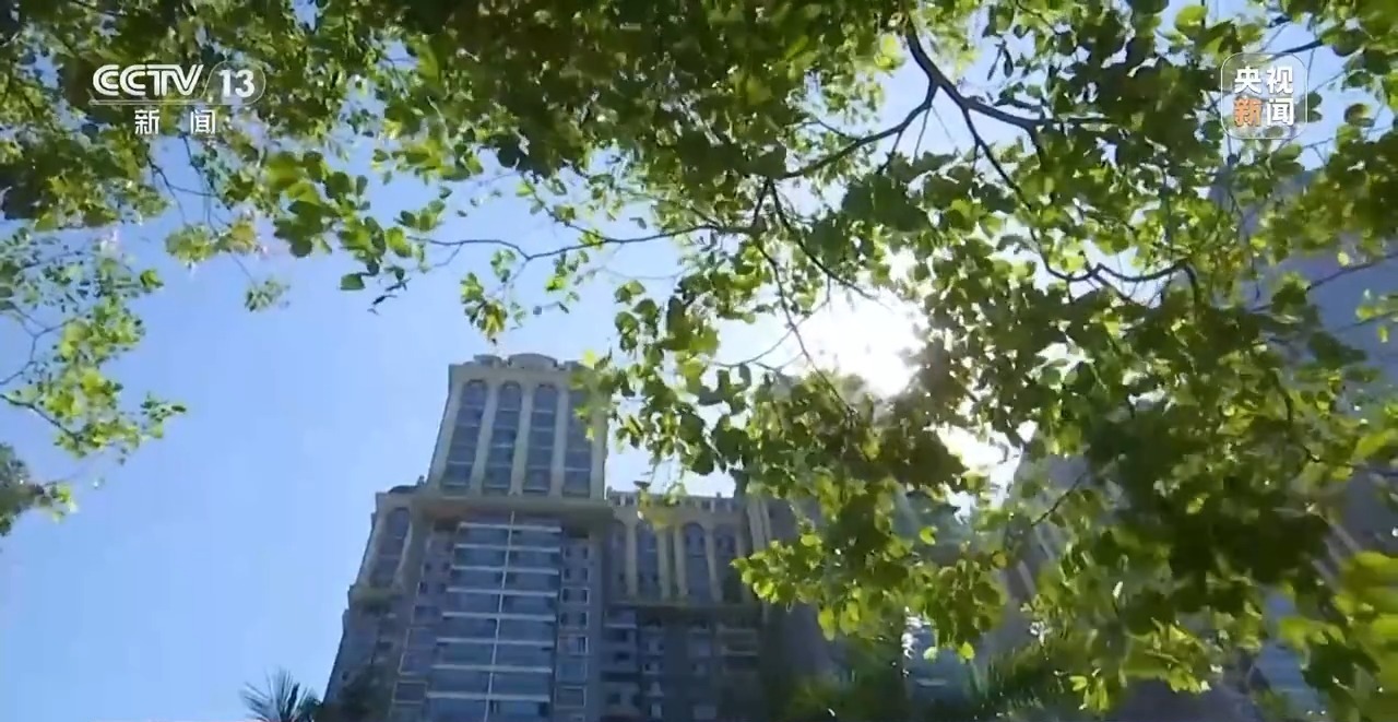 极端高温侵袭 越来越热的夏天该如何应对？