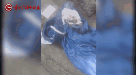 女子水中捡漂亮石头装裤兜里被烧伤,医生:“石头”初步判定是磷 女子水中捡漂亮石头装裤兜里被烧伤,医生:“石头”初步判定是磷