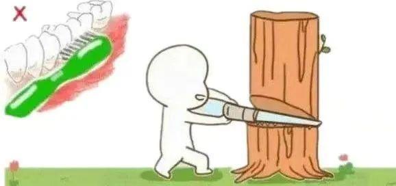 “睡前刷牙”并不是最佳时间?正确刷牙避开这些误区→ “睡前刷牙”并不是最佳时间?正确刷牙避开这些误区→