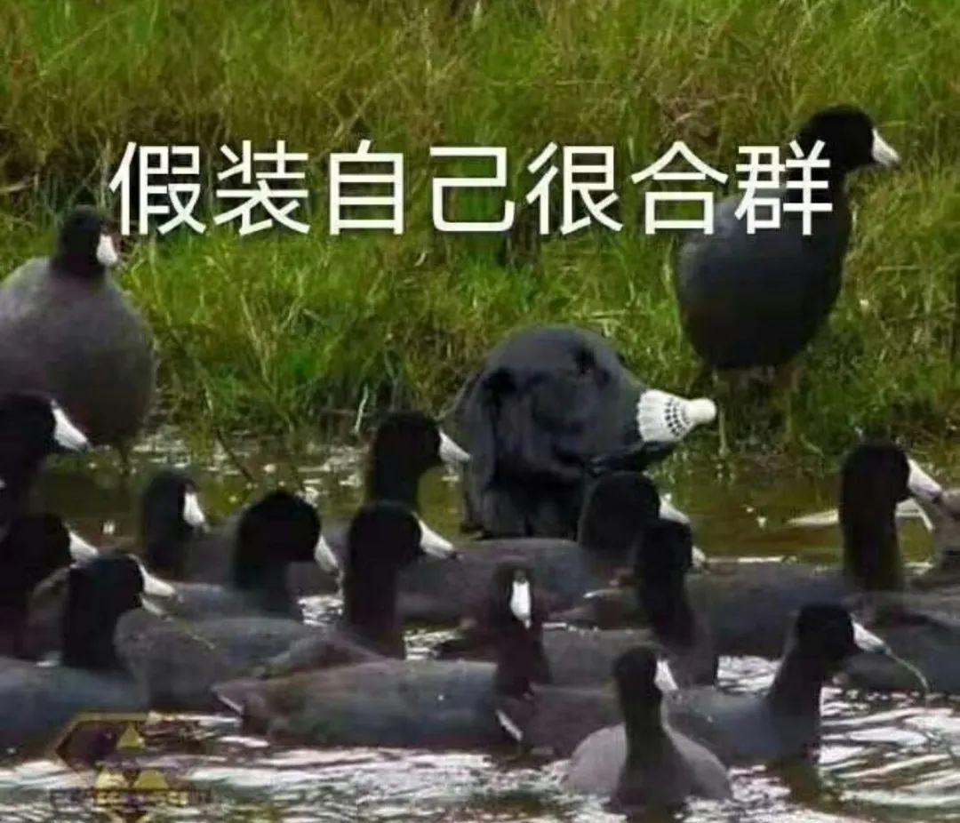 为什么近视的人摘了眼镜,耳朵也不好使了…… 为什么近视的人摘了眼镜,耳朵也不好使了……