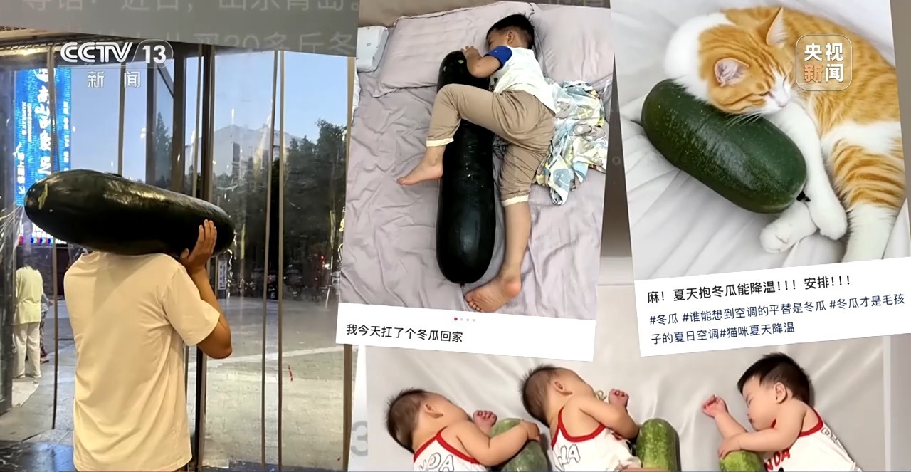 极端高温侵袭 越来越热的夏天该如何应对？