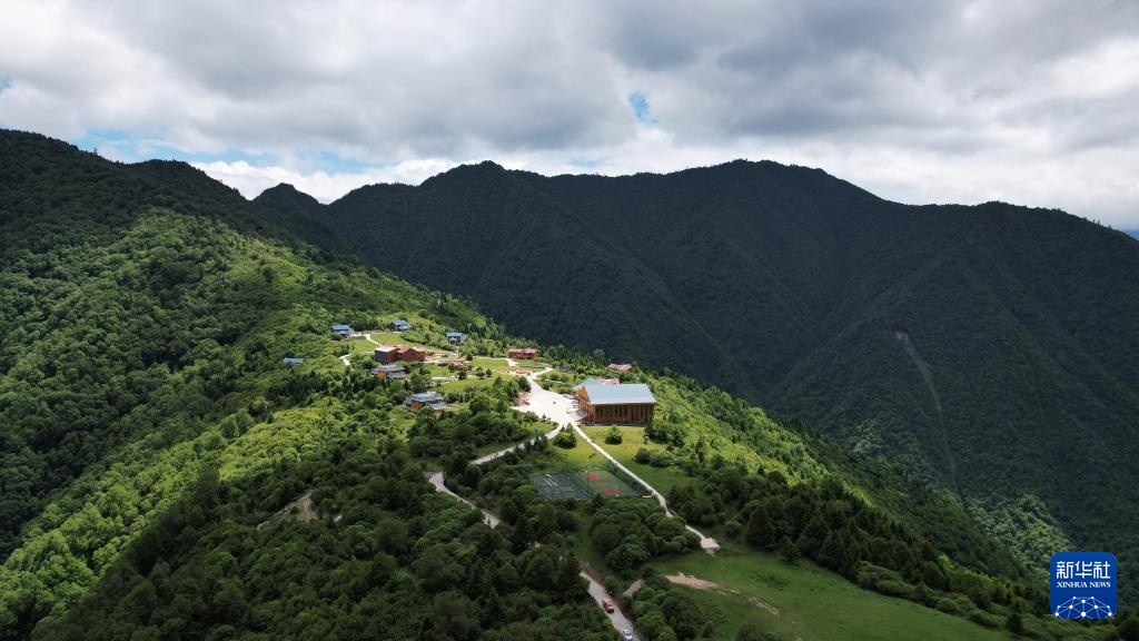 甘肃舟曲:“簪花之路”风景廊道激活文旅新动能 甘肃舟曲:“簪花之路”风景廊道激活文旅新动能