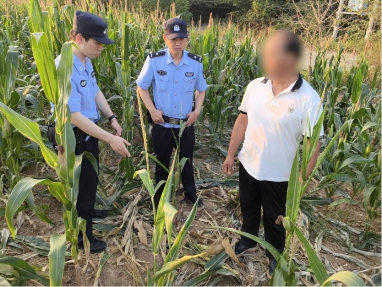 野猪扰田起纠纷 派出所巧解“三难”护民安