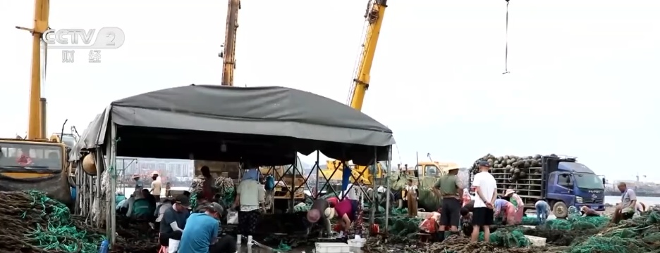 各地特色产业“多点开花”生机勃勃 乡村振兴“多面出彩” 各地特色产业“多点开花”生机勃勃 乡村振兴“多面出彩”