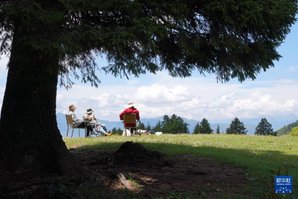 甘肃舟曲:“簪花之路”风景廊道激活文旅新动能 甘肃舟曲:“簪花之路”风景廊道激活文旅新动能