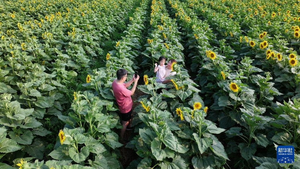 酷暑催热“清凉经济” 酷暑催热“清凉经济”