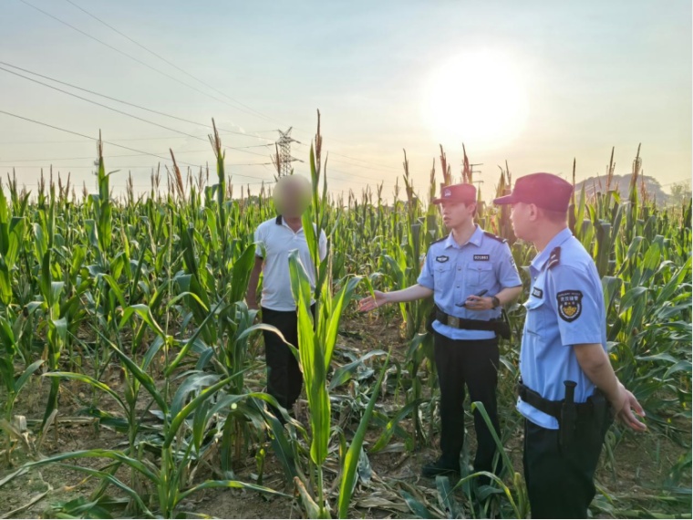 野猪扰田起纠纷 派出所巧解“三难”护民安