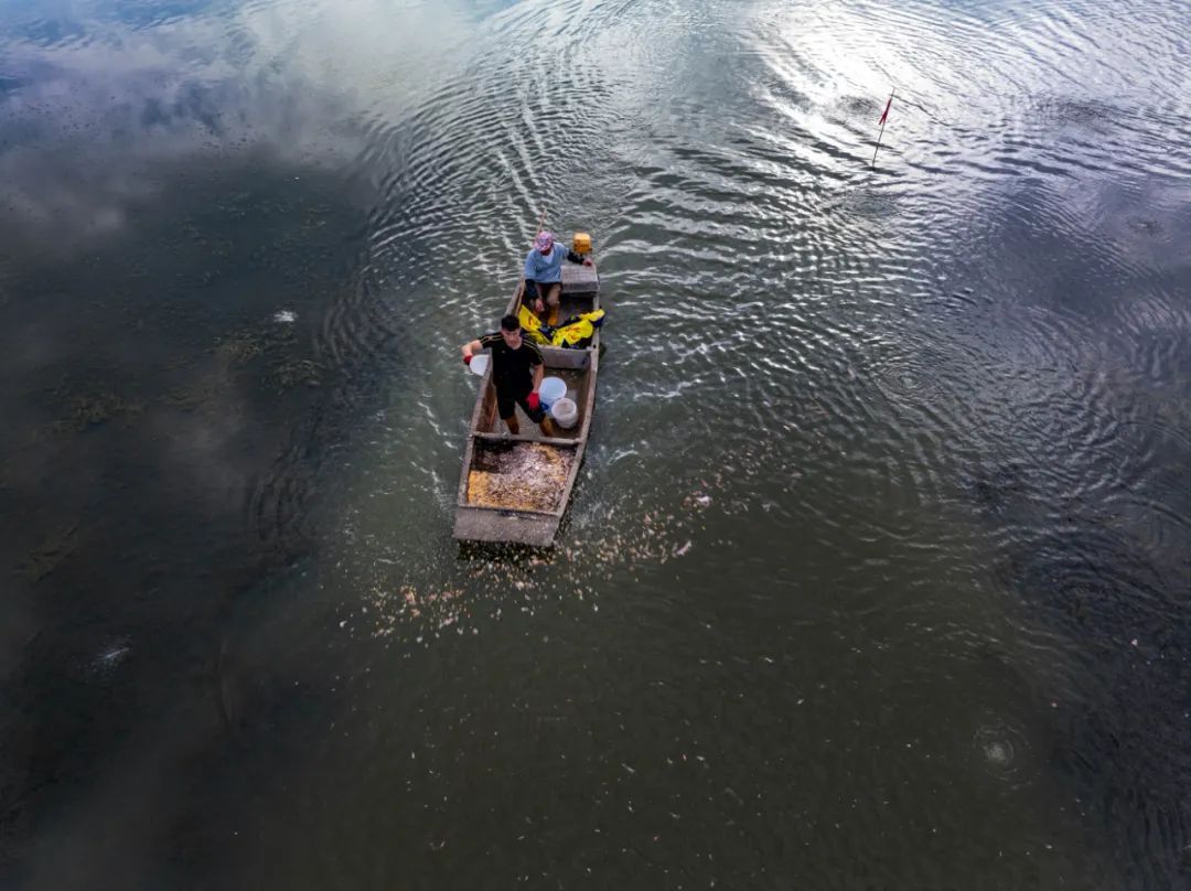 “忙时踢球，闲时养蟹”